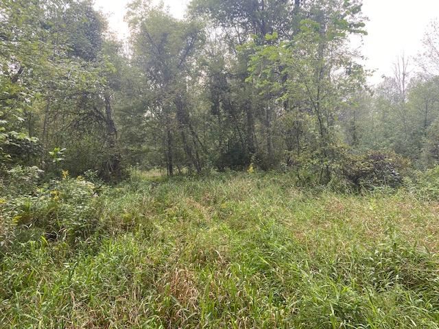 2877 Klender Road Rhodes, MI 48652 - Photo 16 of 27