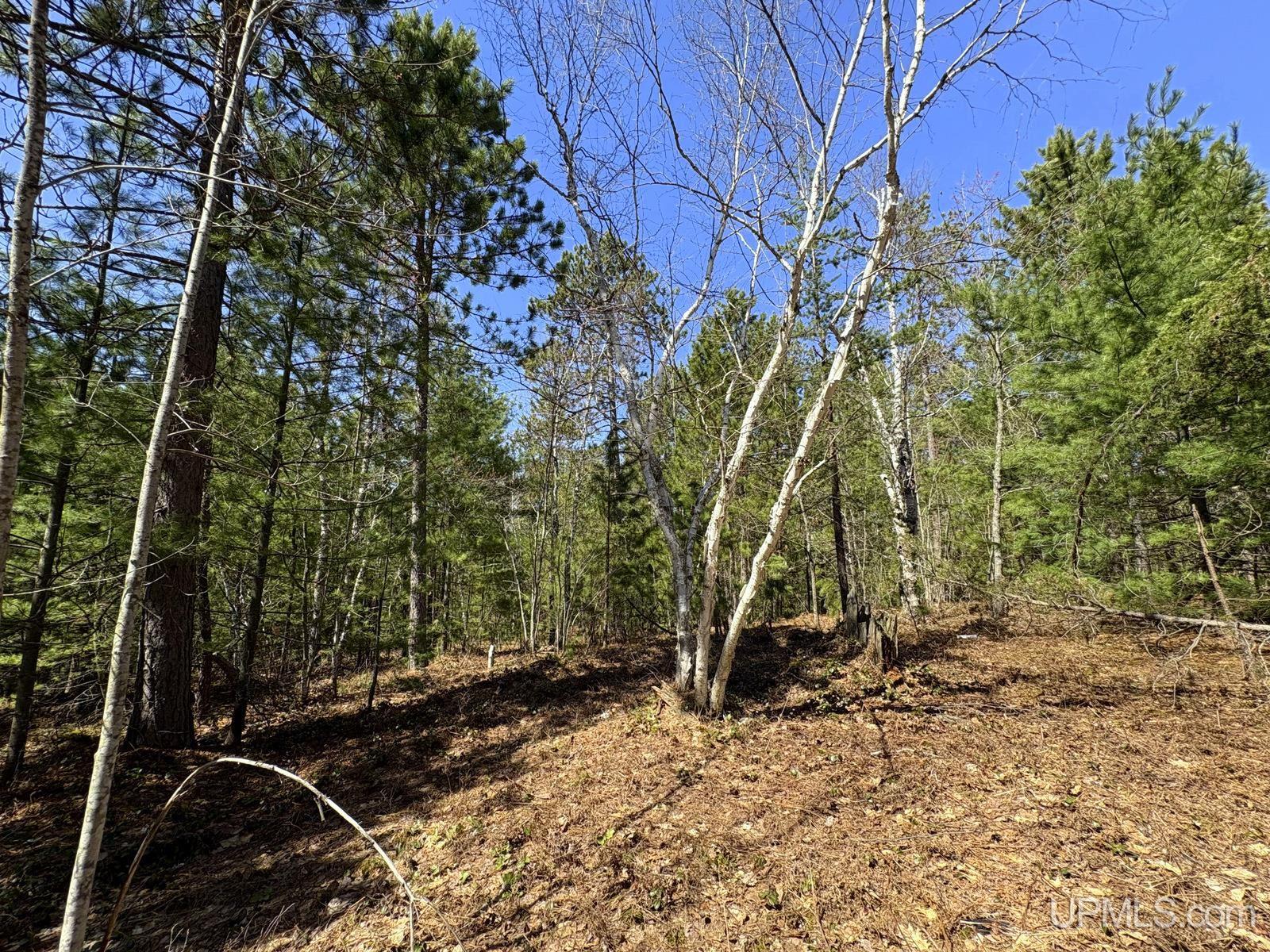 Tbd Valley Road Marquette, MI 49855 - Photo 52 of 59