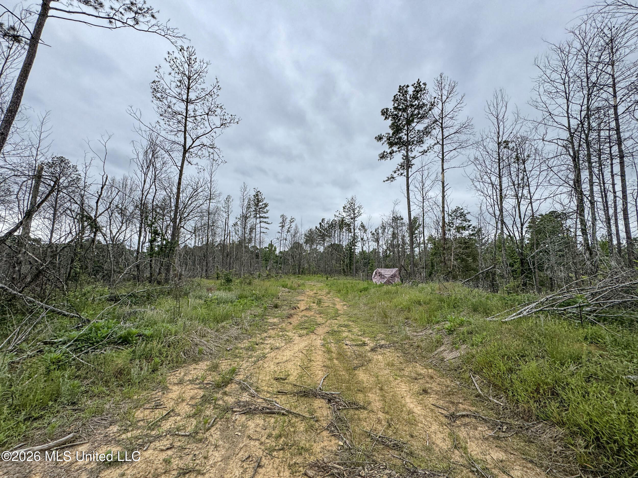Wayne Massie Road Como, MS 38619 - Photo 152 of 184 5cdtbs97