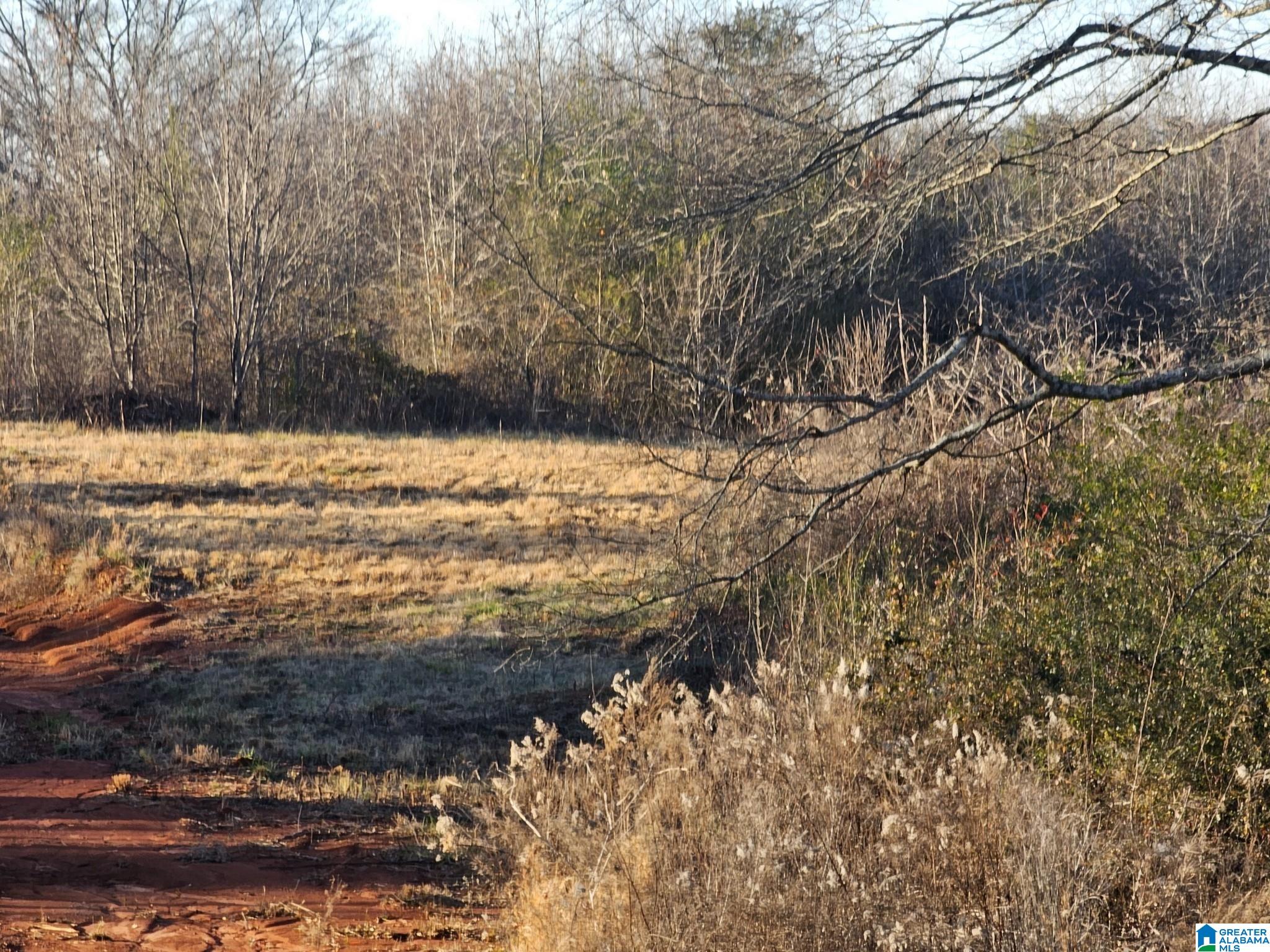 0 Peaceful Valley Road Eastaboga, AL 36260 - Photo 10 of 15