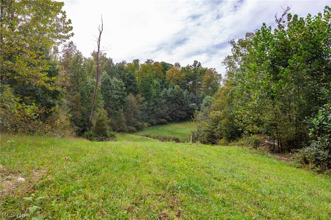 Lew Marten Road Summerfield, OH 43788 - Photo 36 of 50 Gallery Image 36