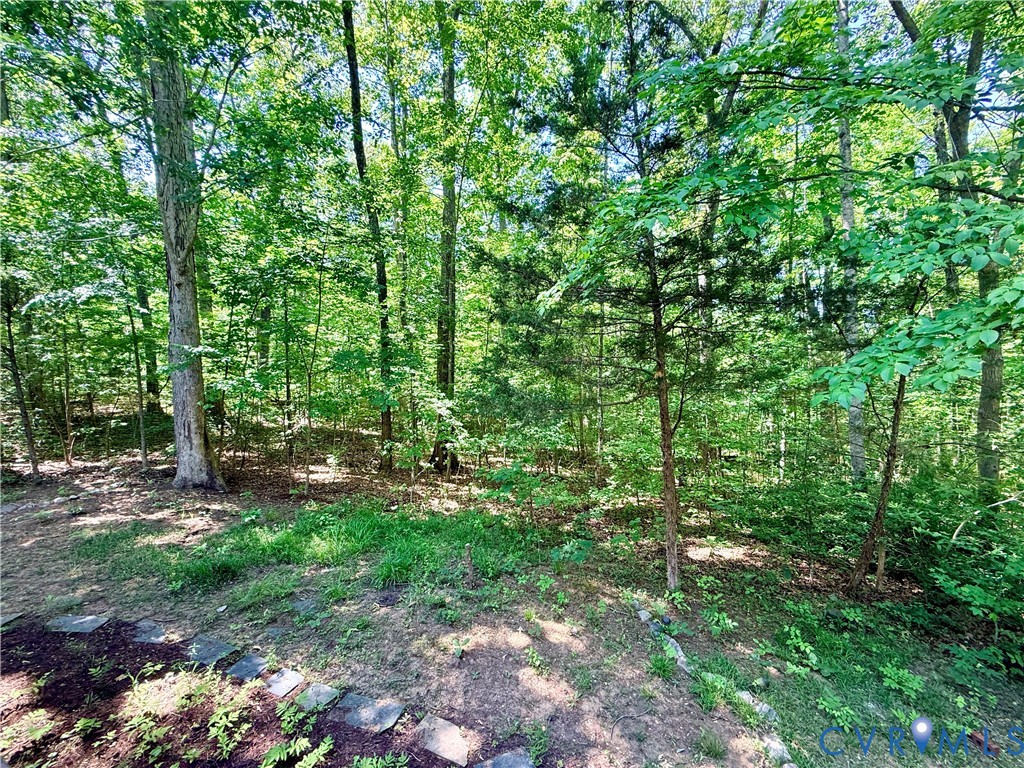 2590 Davis Mill Road Goochland, VA 23063 - Photo 30 of 33 a view of a lush green forest