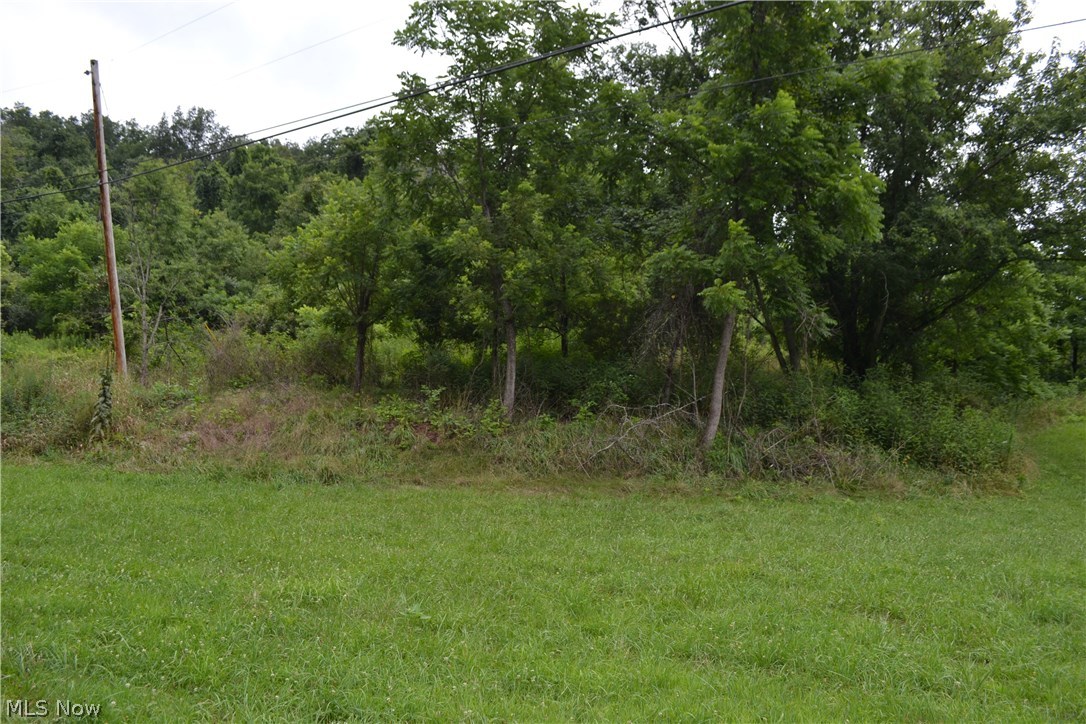 2240 Buck Run Road Mineral Wells, WV 26150 - Photo 12 of 13