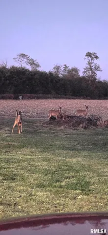 $299,900 | 16853 North Wright Road, Lewistown, IL 61542