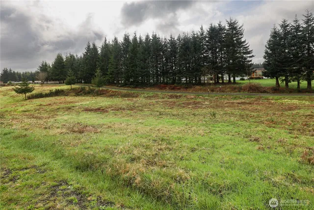 a view of outdoor space with swimming pool and green space