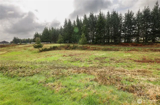 a view of outdoor space with swimming pool and trees in the background