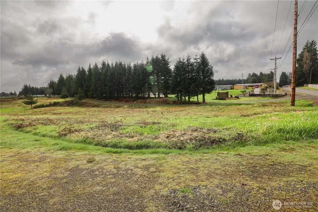 a view of a yard with an outdoor space