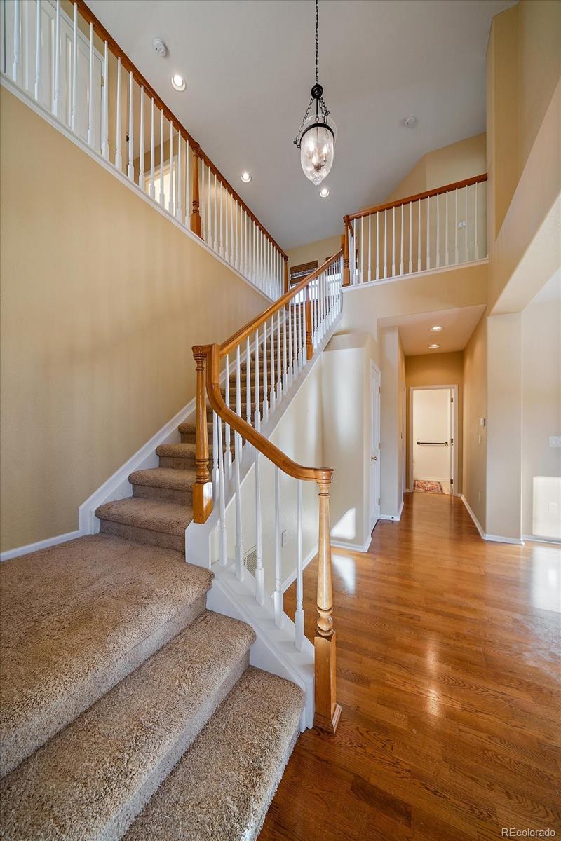 10582 Ashfield Street Highlands Ranch, CO 80126 - Photo 19 of 38 Gallery Image 19