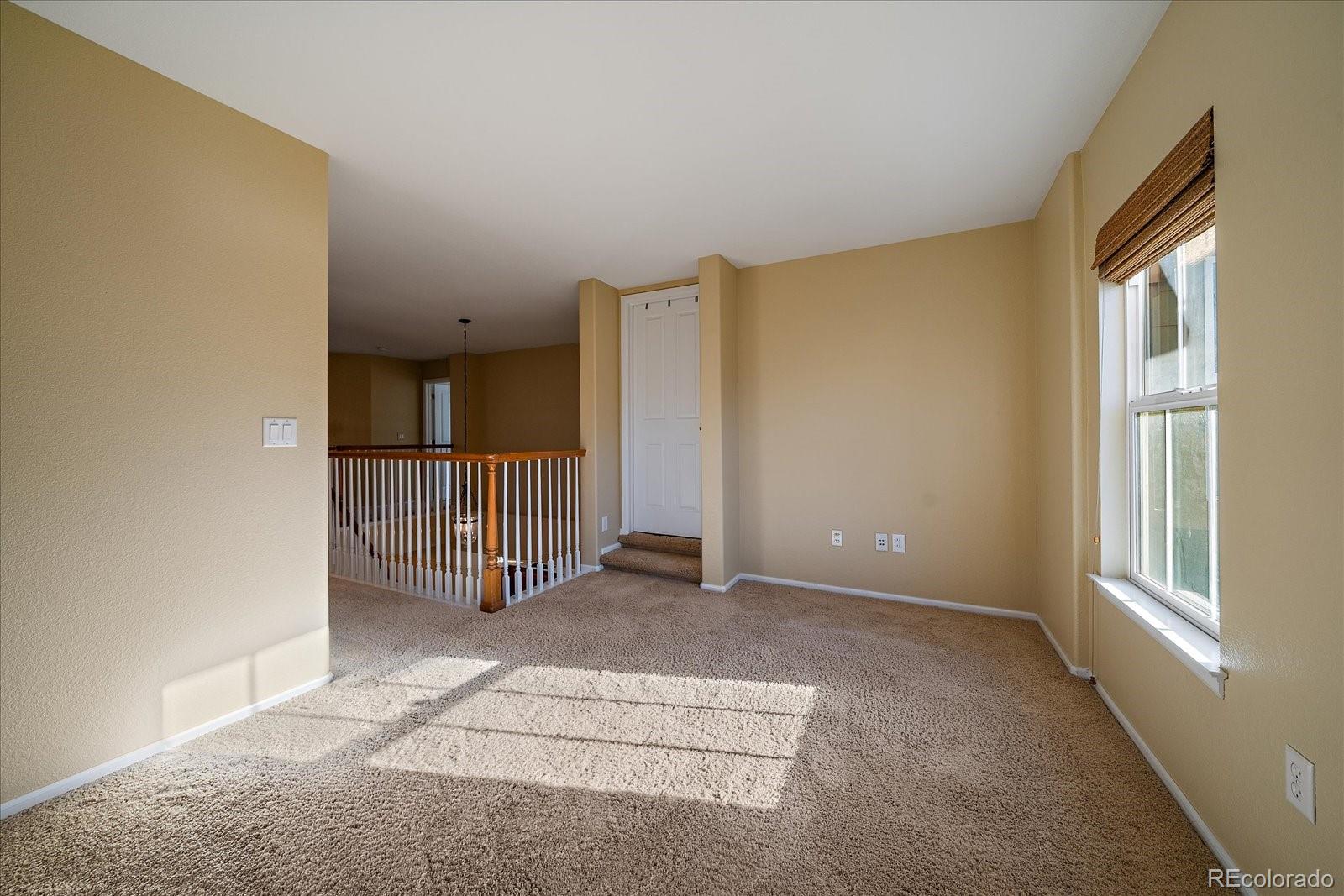 10582 Ashfield Street Highlands Ranch, CO 80126 - Photo 23 of 38 Gallery Image 23