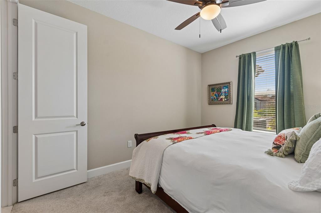 4647 Garofalo Road Wesley Chapel, FL 33543 - Photo 25 of 92
