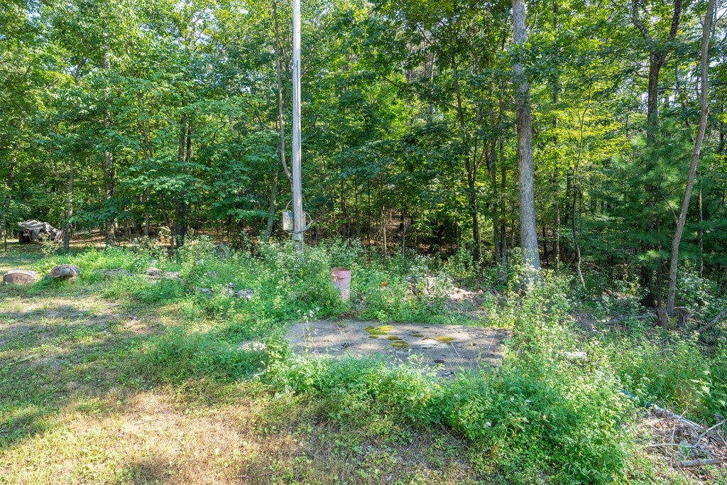 12848 Old Ridge Road Hesston, PA 16647 - Photo 49 of 56 Gallery Image 49