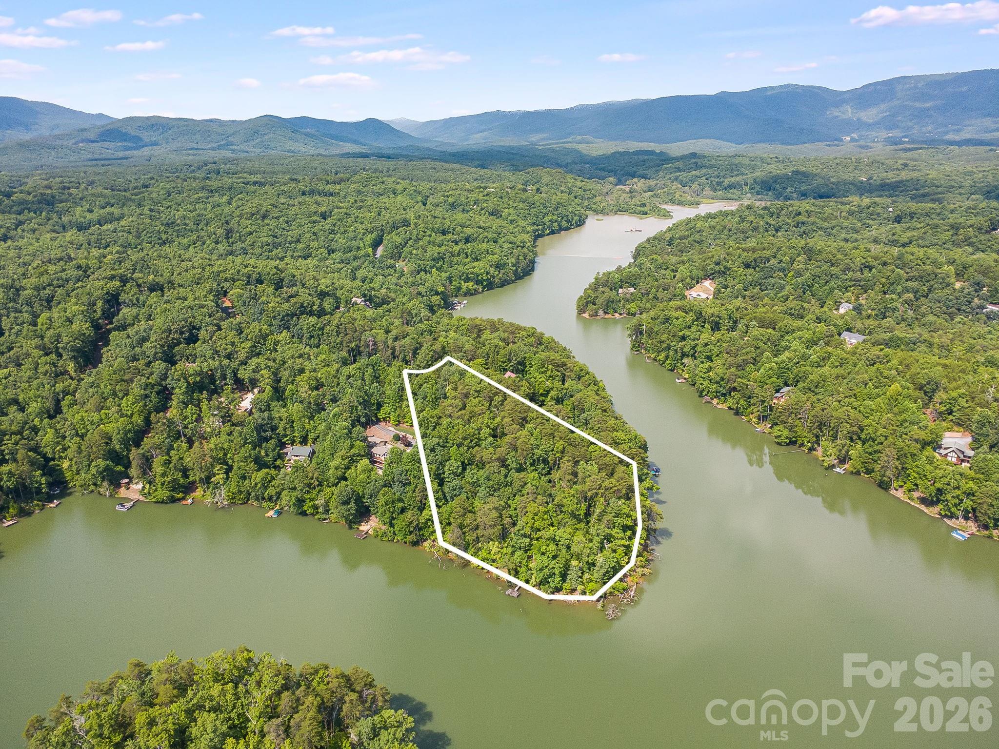 0 Canoe Drive, Unit 40 Mill Spring, NC 28756 - Photo 20 of 23