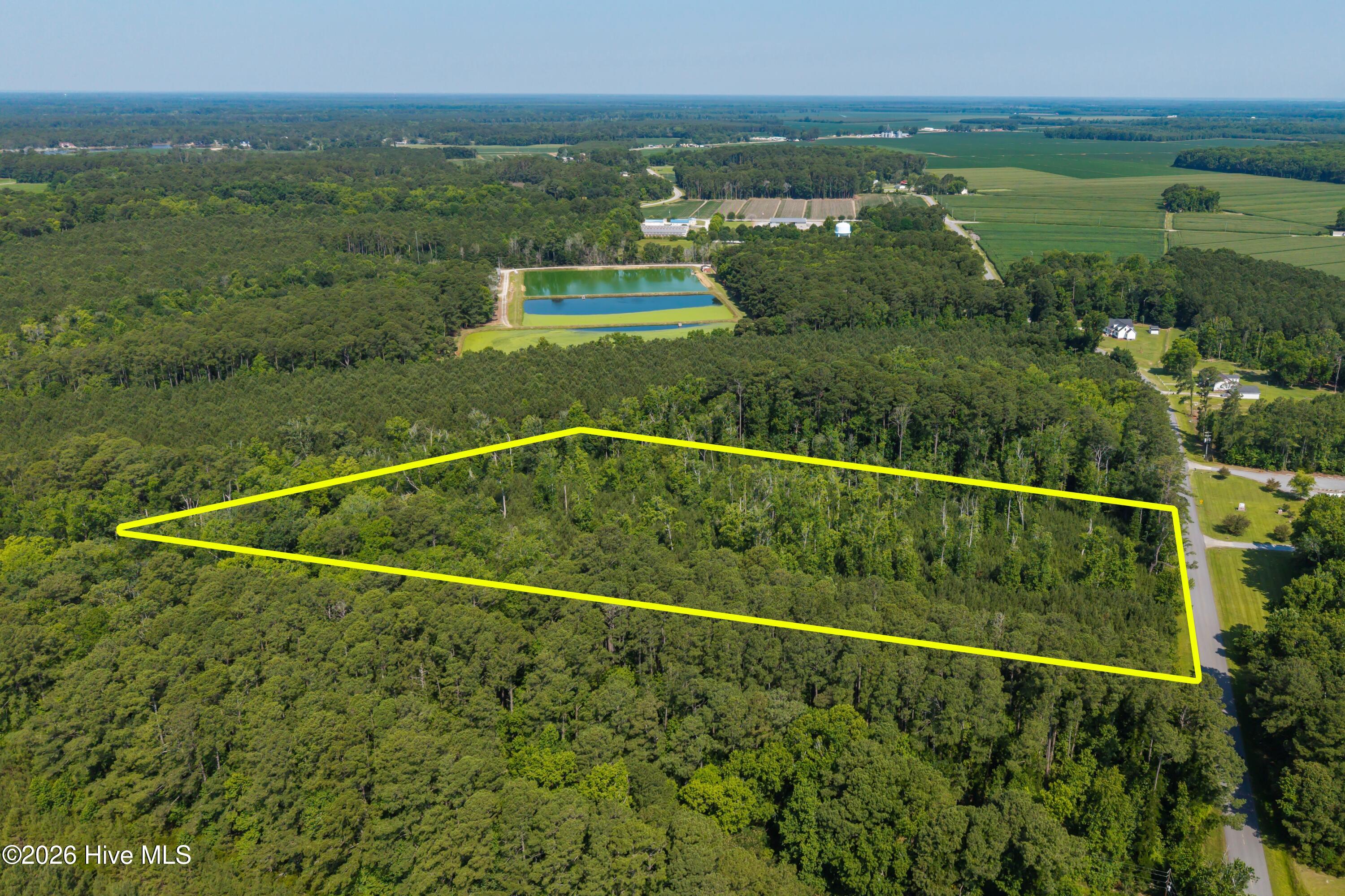 1 White Farm Road Oriental, NC 28571 - Photo 3 of 11