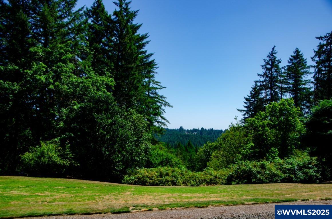 16870 Selden Road Dallas, OR 97338 - Photo 34 of 42 a view of a yard with a trees