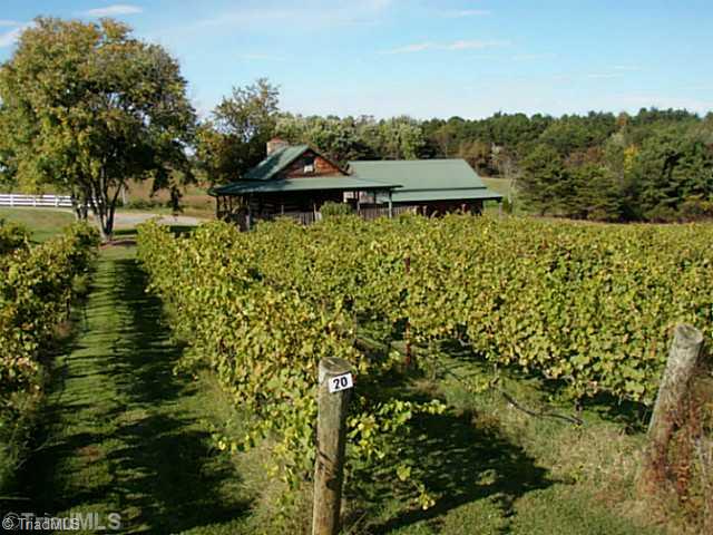 957 Copeland School Road Dobson, NC 27017 - Photo 1 of 15 Landscaping. Cabin in the vineyard with matching Barn