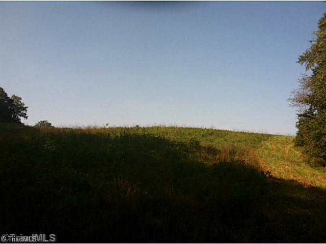 957 Copeland School Road Dobson, NC 27017 - Photo 11 of 15 Land/Lot. room to expand vineyard