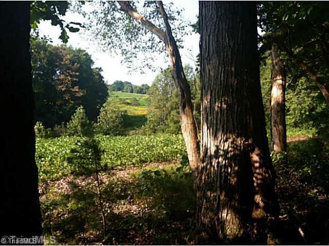 957 Copeland School Road Dobson, NC 27017 - Photo 12 of 15 Land/Lot. rolling land