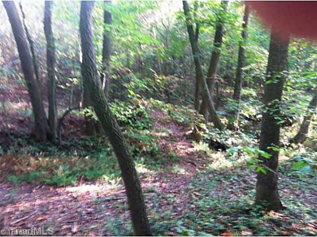 957 Copeland School Road Dobson, NC 27017 - Photo 13 of 15 Land. trails for walking or riding