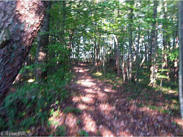 957 Copeland School Road Dobson, NC 27017 - Photo 10 of 15 Land. trails for walking in the woods