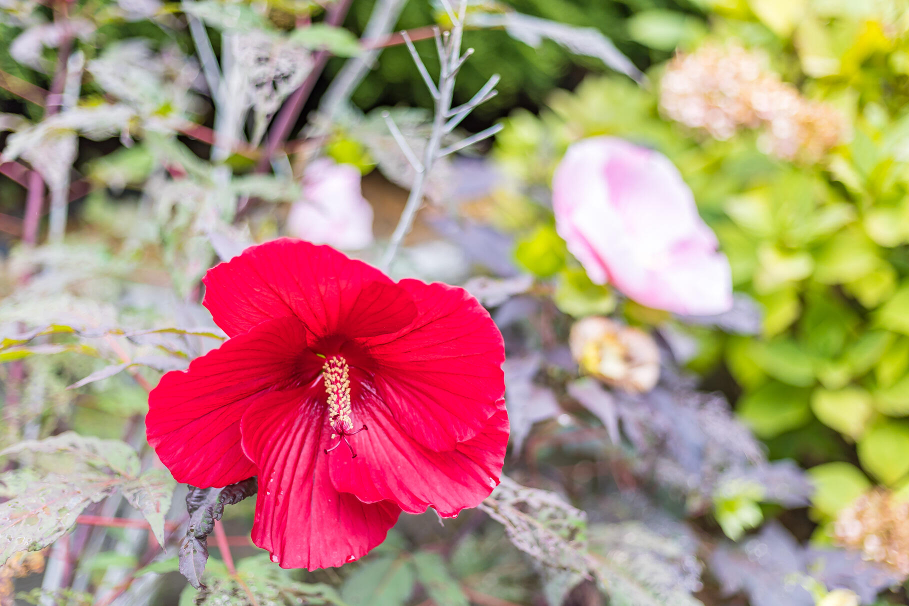 4 Coffey Lane Dennis Port, MA 02639 - Photo 44 of 48 8P0A9707