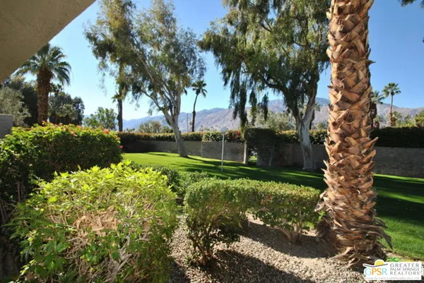 a view of garden with trees