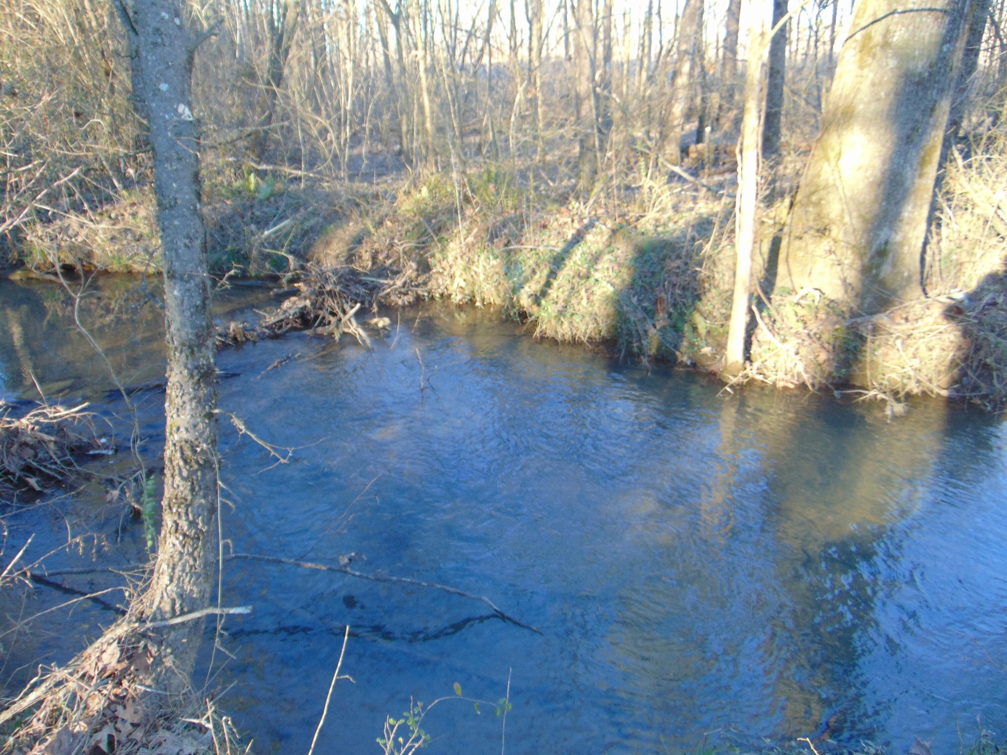 1 Southeast Hughes Lake Road Cleveland, TN 37323 - Photo 4 of 4