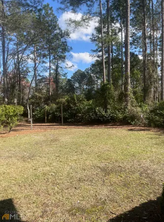 a view of a yard