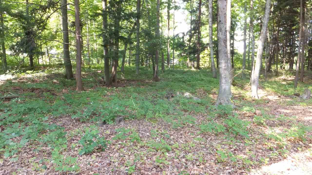 10550 Covey Road Honor, MI 49640 - Photo 29 of 36 1805209-28.JPG