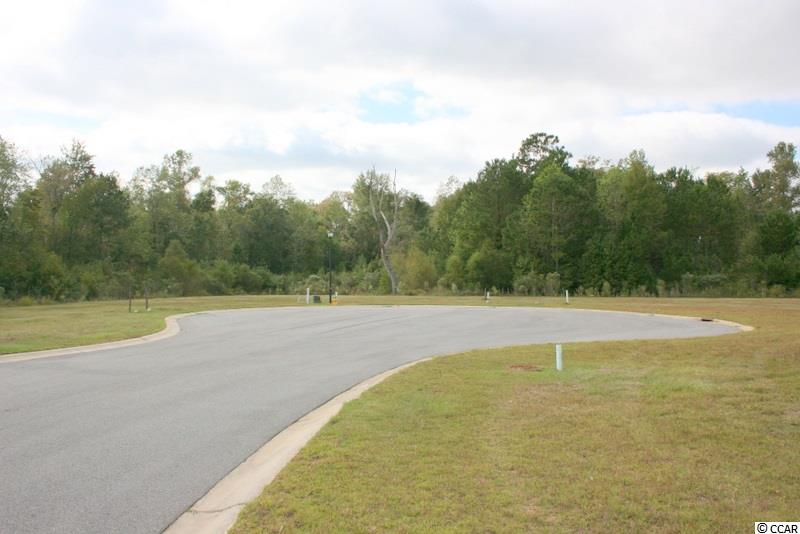2103 Belladora Road Conway, SC 29527 - Photo 20 of 25 Gallery Image 20