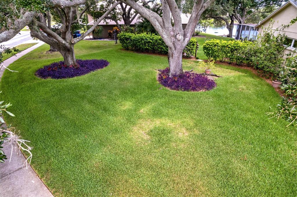 8412 Ridgebrook Circle Odessa, FL 33556 - Photo 78 of 87