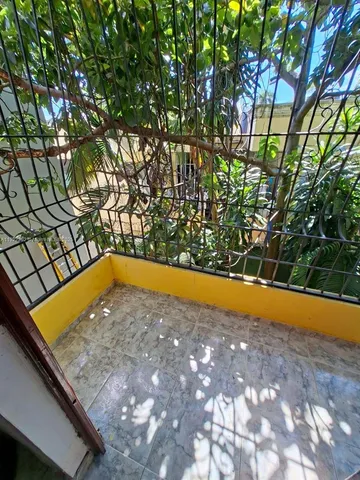 a view of tall trees