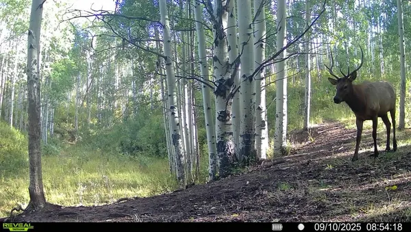 a view of a outdoor space