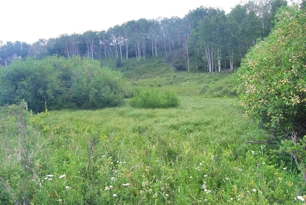 a view of an outdoor space and a yard