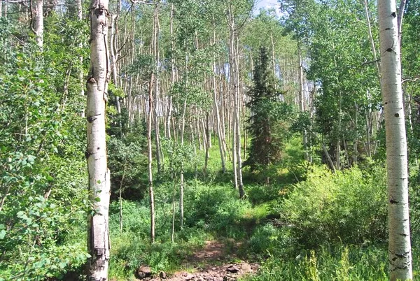 $1,375,000 | 11 County Road 11, Craig, CO 81625