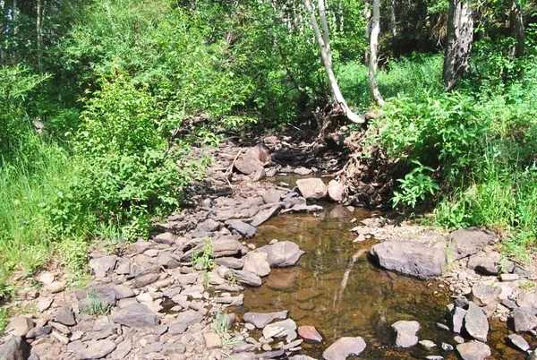 a view of a lush green space with sea