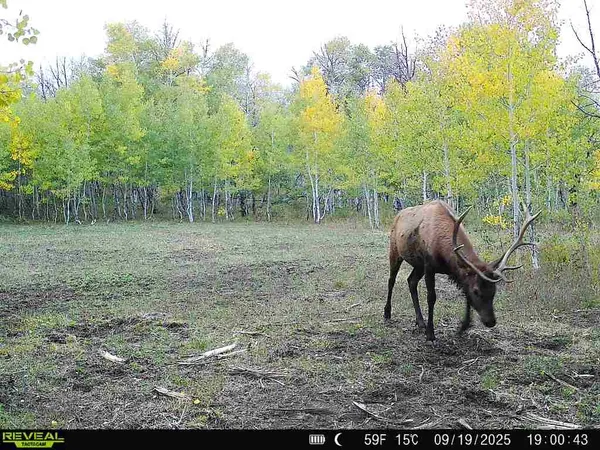 a view of outdoor space and garden