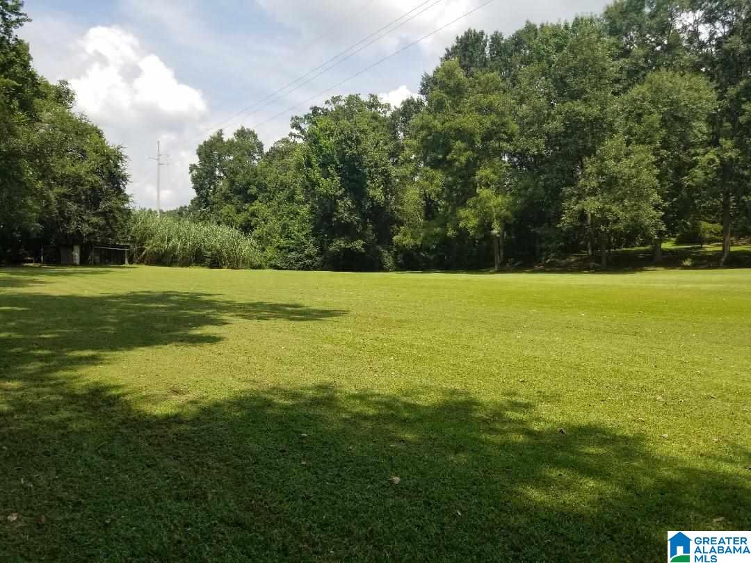 63 Montevallo Road Centreville, AL 35042 - Photo 9 of 34