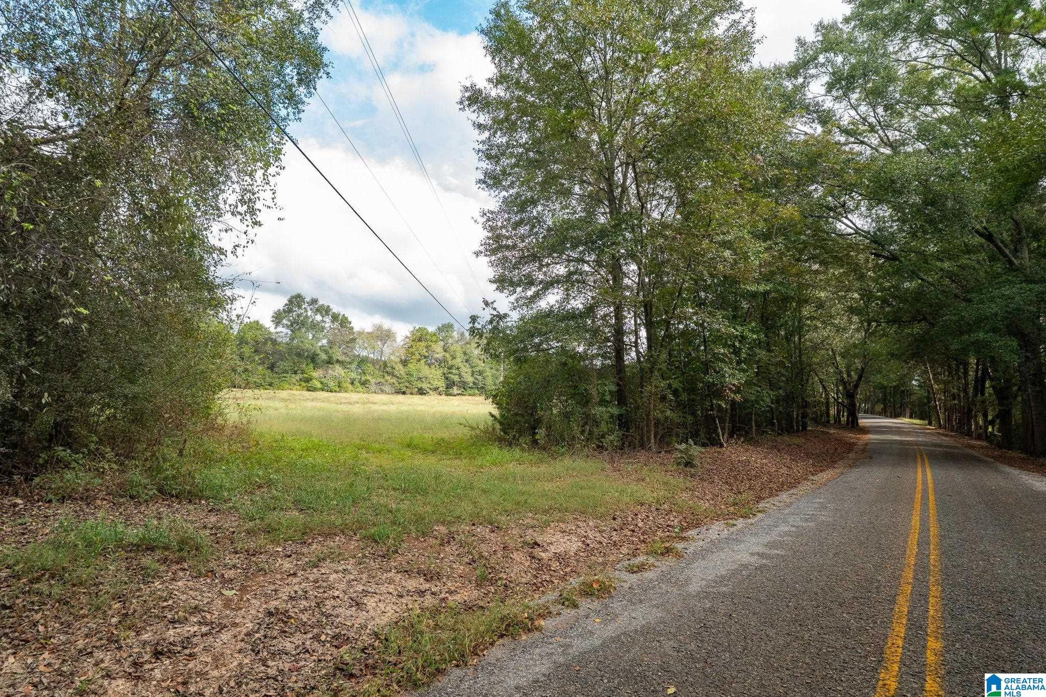 0 Allred Road, Unit PARCEL #5 Lincoln, AL 35096 - Photo 8 of 24