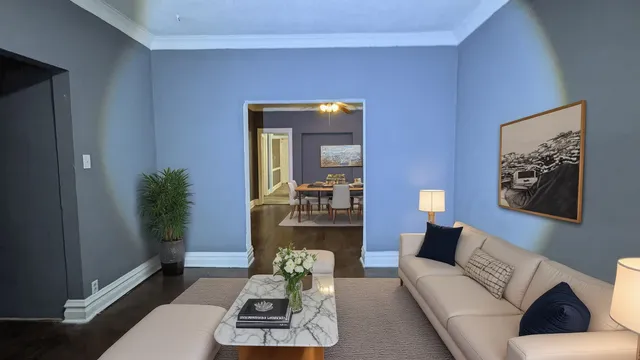 a living room with furniture and a potted plant