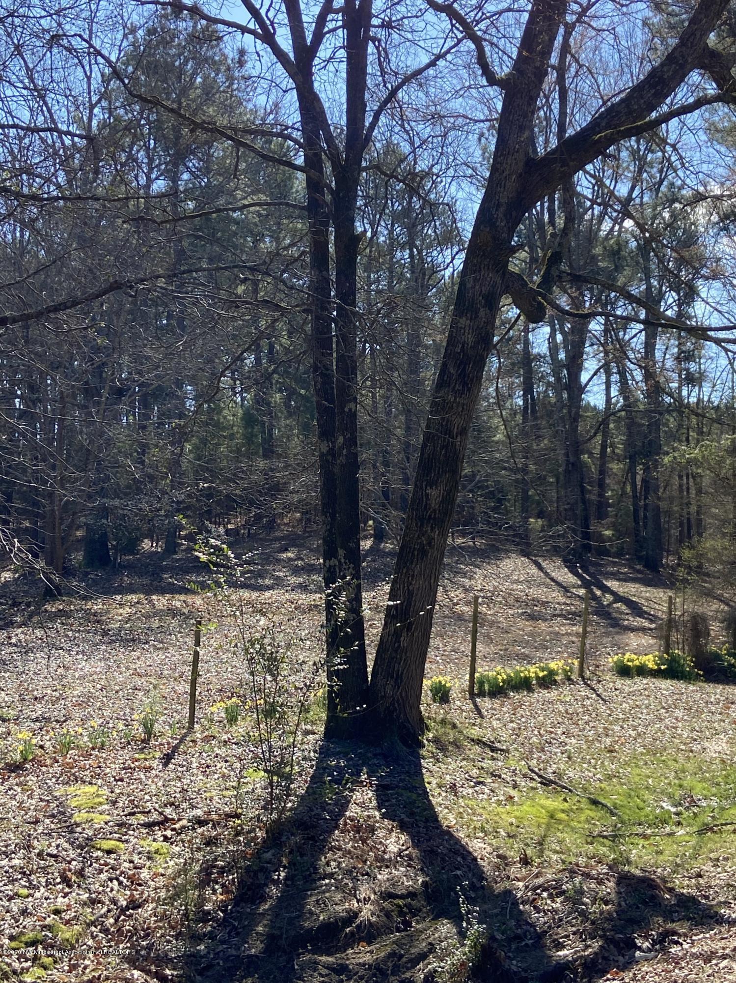 595 Myers Road Byhalia, MS 38611 - Photo 1 of 2 land 1