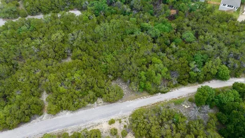 a view of a garden with plants