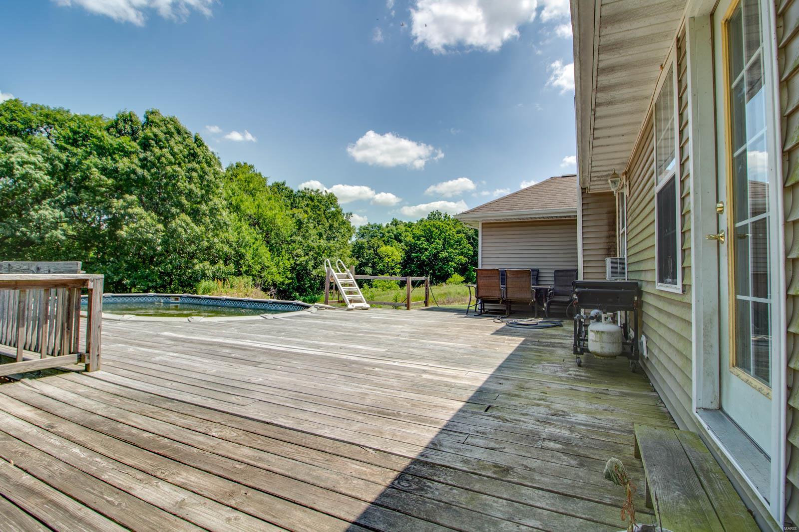 31126 Terry Park Road Palmyra, IL 62674 - Photo 22 of 67