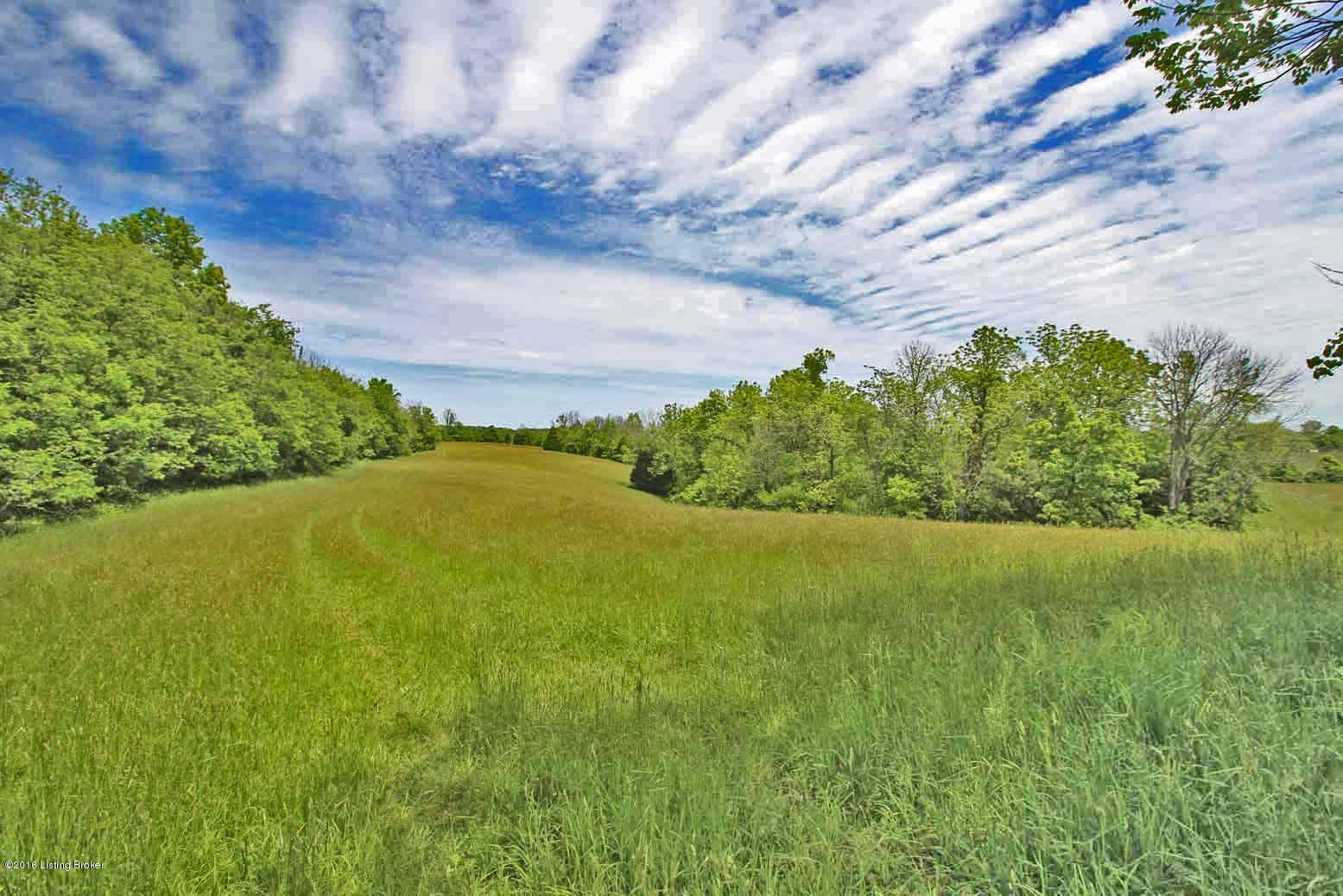 7480 Waddy Road Waddy, KY 40076 - Photo 2 of 9 Tract C Property View