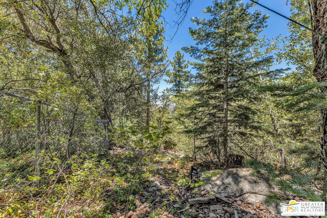 52260 Sylvan Way Idyllwild, CA 92549 - Photo 45 of 62