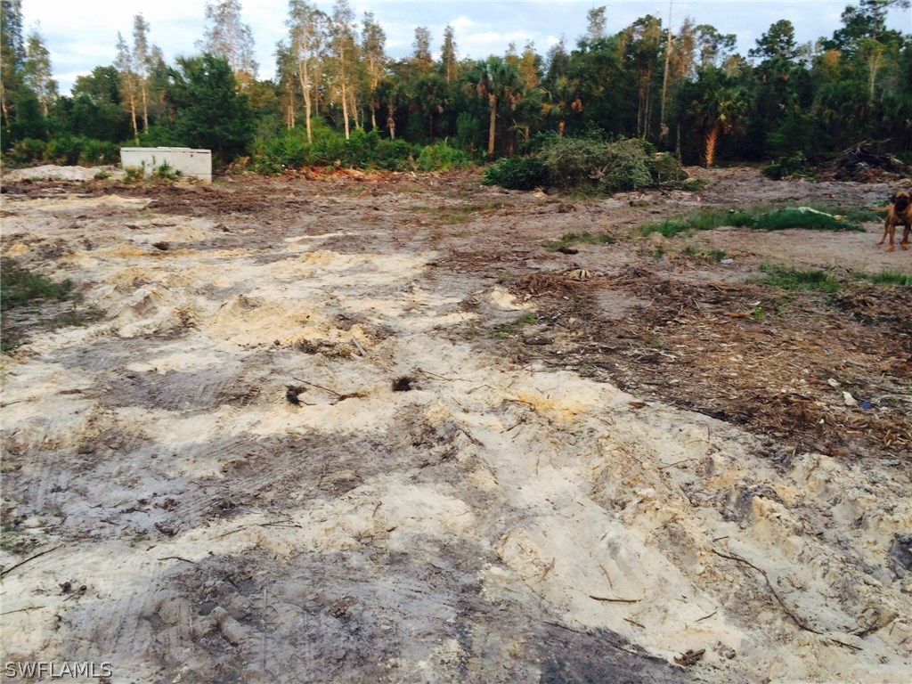 733 F Road LaBelle, FL 33935 - Photo 4 of 5 a view of dirt field with trees