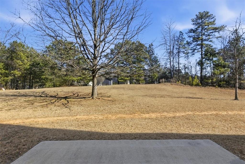 6563 Brandemere Way Southwest Austell, GA 30168 - Photo 34 of 39