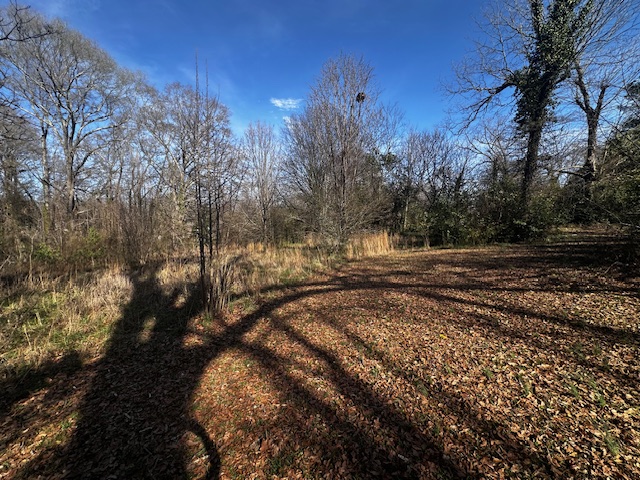 1208 West Whitner Street Anderson, SC 29625 - Photo 18 of 23