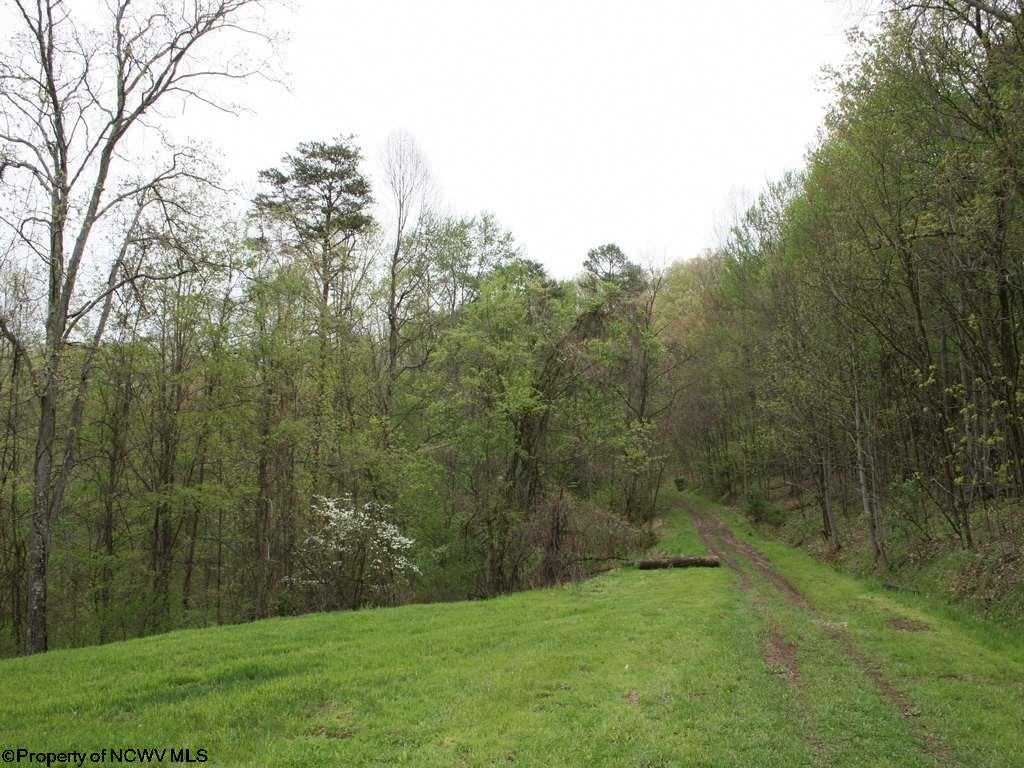 888 Ramsey Ridge Road West Union, WV 26456 - Photo 14 of 20 Gallery Image 14