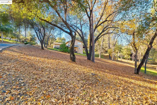 a view of outdoor space with deck and trees