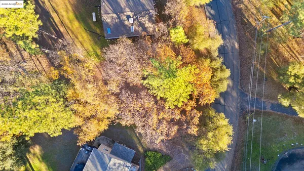 a backyard of a building with large trees
